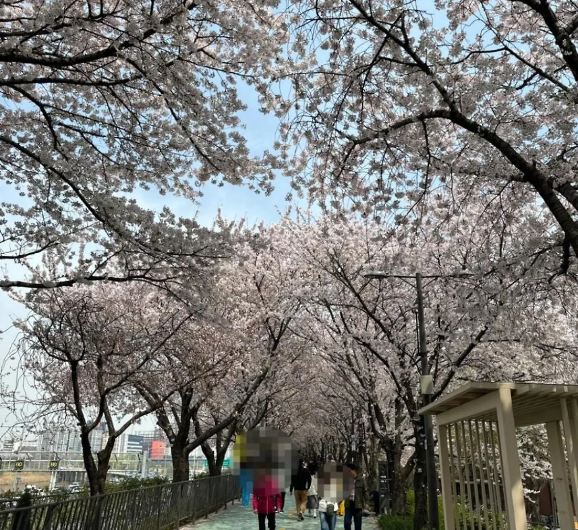 Apartment Atelier Seongsu Riverside Loft Cherry Blossom Road Han River Airport Bus Seoul