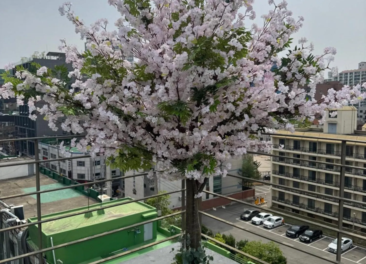 Atelier Seongsu Riverside Loft Cherry Blossom Road Han River Airport Bus Seoul Apartment